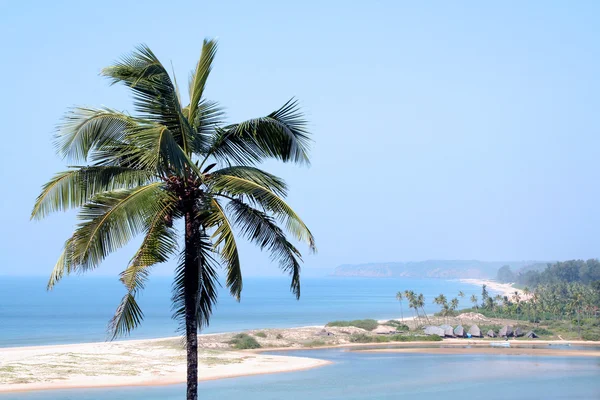 Vista de la playa con palmeras de coco —  Fotos de Stock