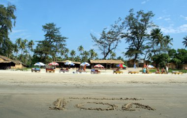 View of the beach with coconut palms clipart