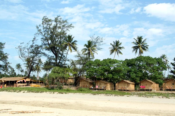 Вид на пляж с кокосовыми пальмами — стоковое фото