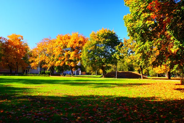 Осенний парк Лицензионные Стоковые Изображения