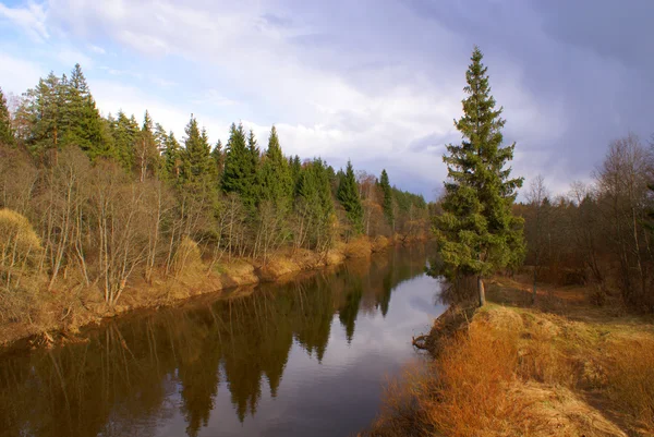 O rio em madeira — Fotografia de Stock
