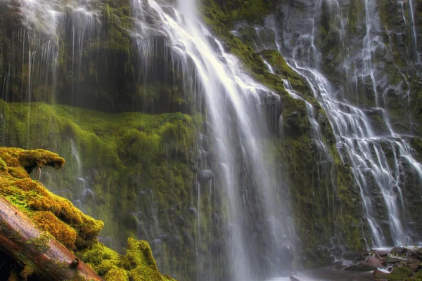 プロキシの滝 — ストック写真