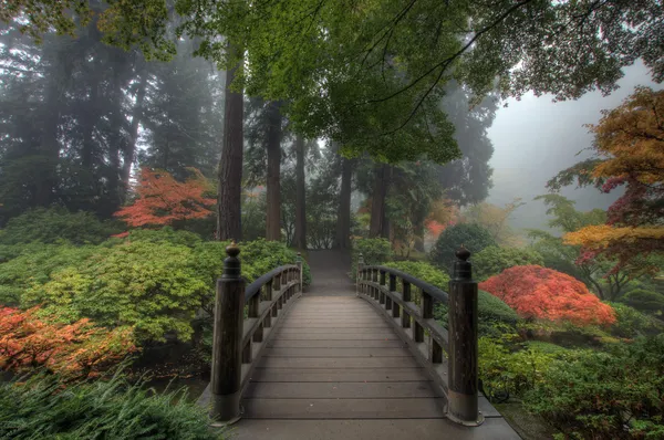 A ponte no jardim japonês Imagens Royalty-Free