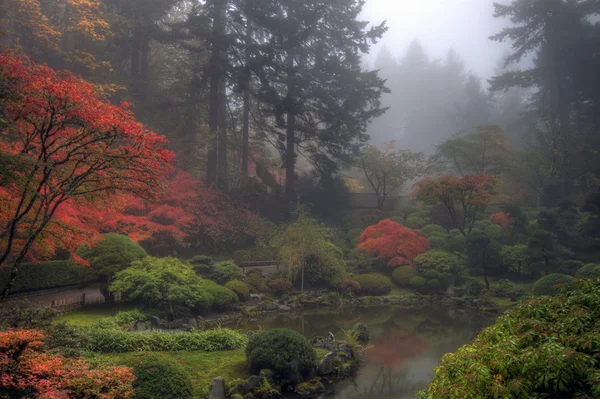 Jeden mglisty poranek w ogród japoński — Zdjęcie stockowe