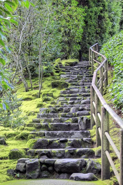 Kő lépcsők, japán kert — Stock Fotó