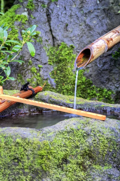 Fontaine d'eau en bambou — Photo