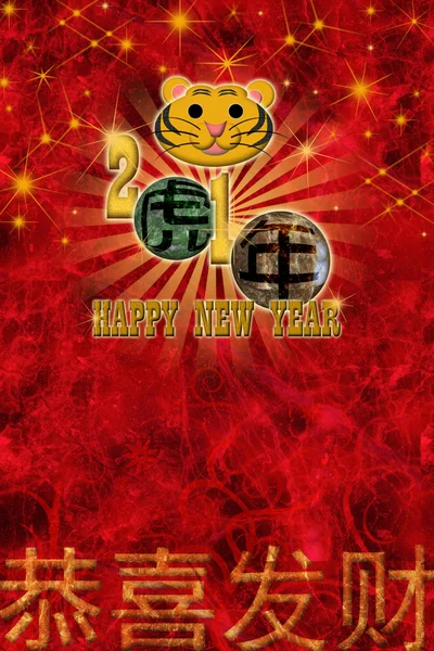 Año Nuevo Chino 2010 — Foto de Stock
