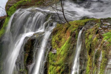 Panter creek falls