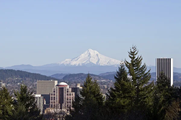 Portland oregon şehir manzarası — Stok fotoğraf