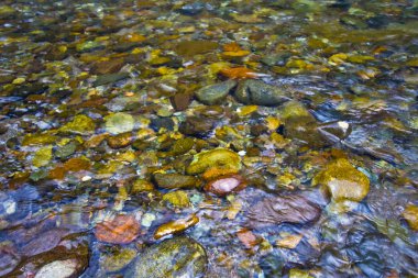 Pebble Rocks in River clipart