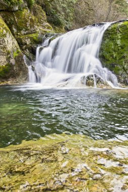 washougal nehrinde çıplak falls