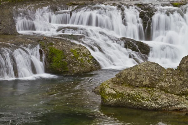 stock image Dougan Falls in Washington