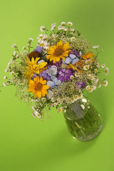 Summer Bouquets — Stock Photo, Image