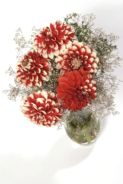 Bouquets de verão — Fotografia de Stock