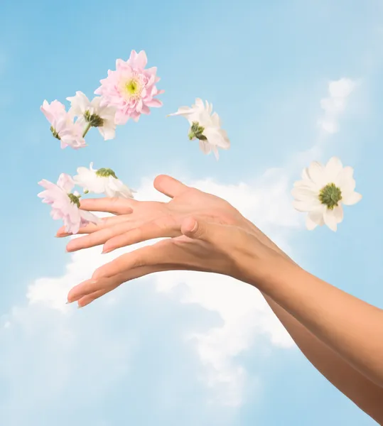 Donne mani e fiori — Foto Stock