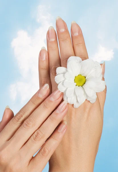 Vackra naglar och kvinnas fingrar — Stockfoto