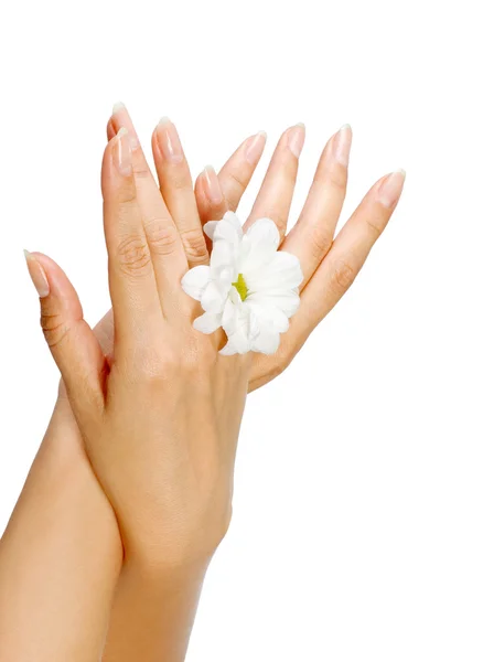 Mooie nagels en vrouwelijke vingers — Stockfoto