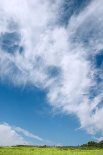 Erba e cielo con nuvole — Foto Stock