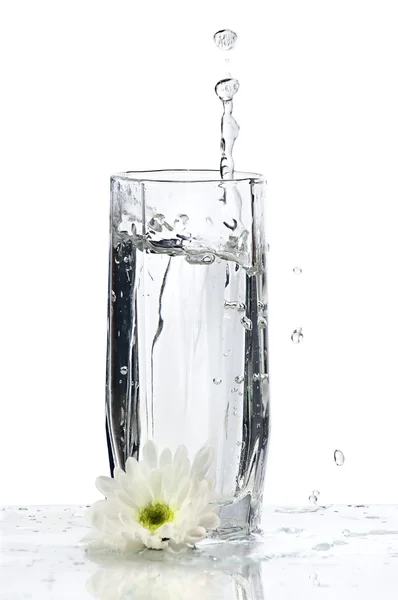 Szklanka wody z pluskiem i kwiatem — Zdjęcie stockowe