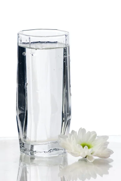 Стакан воды с цветком — стоковое фото