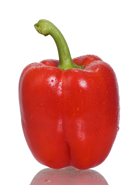 Pimenta vermelha — Fotografia de Stock