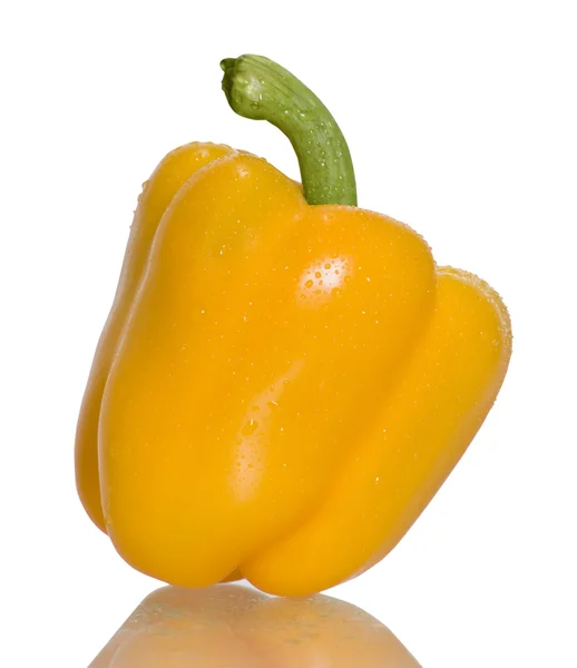 Pimenta amarela — Fotografia de Stock
