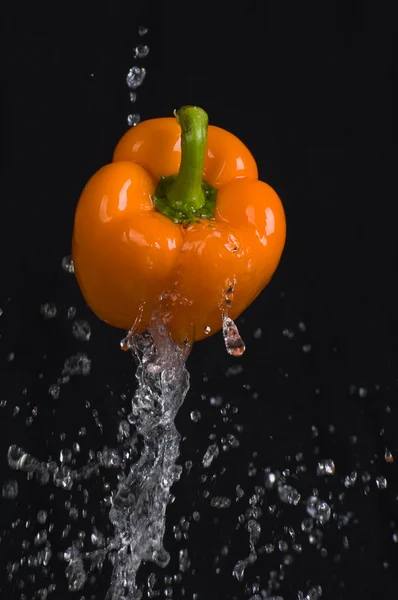 stock image Orange pepper