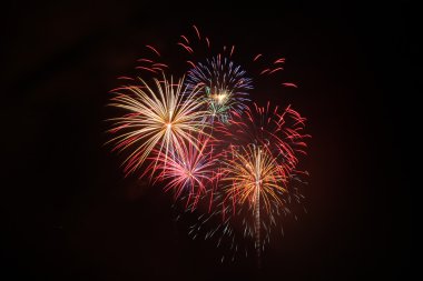 Multicolored fireworks clipart