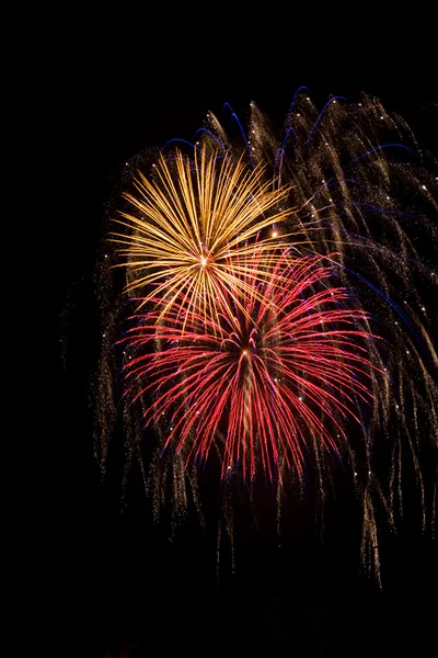 Feuerwerk in rot, weiß, gold und blau — Stockfoto