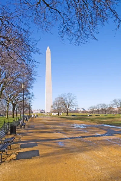 Vista do Monumento de Washington vertical — Fotografia de Stock