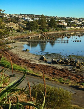 View of the waterfront at Victor Harbor clipart
