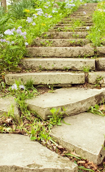 Μερικά πέτρινα σκαλιά σε μια κάθετη διαδρομή στον κήπο — Φωτογραφία Αρχείου