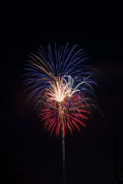 Rotes, weißes und blaues Feuerwerk — Stockfoto