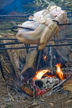 Turkeys roasting over an open fire clipart