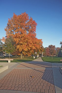 Brick walkway and fall foliage clipart