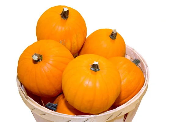 Small pumpkins in a basket — Stock Photo, Image