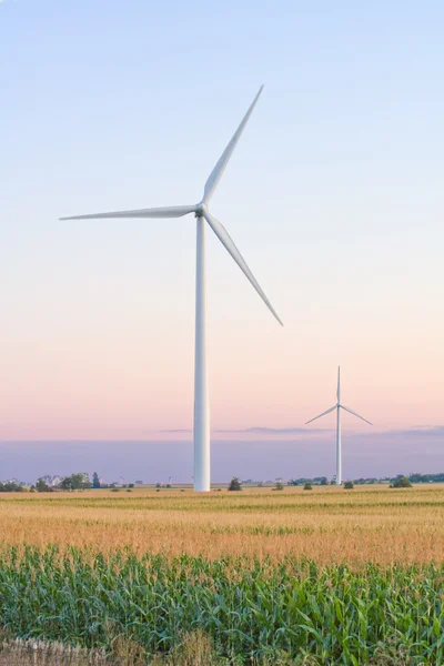 Zwei große Windmühlen in einem Maisfeld — Stockfoto