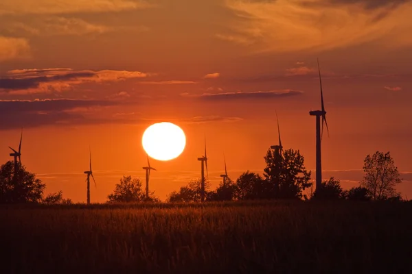Windmühlen in einem Maisfeld bei Sonnenuntergang — Stockfoto