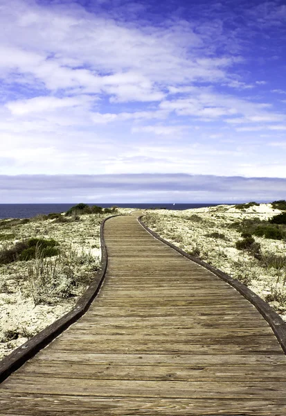 Boardwalk över sanddynerna — Stockfoto
