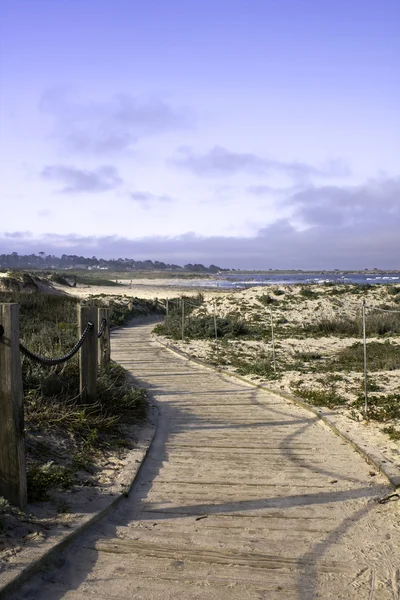 Trilho e calçadão sobre dunas de areia — Fotografia de Stock