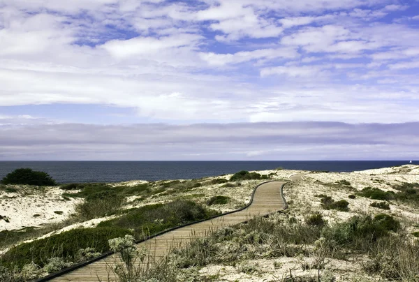 Dřevěný chodník přes písečné duny — Stock fotografie