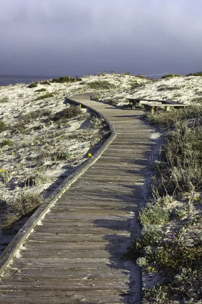 Promenada nad wydmami — Zdjęcie stockowe