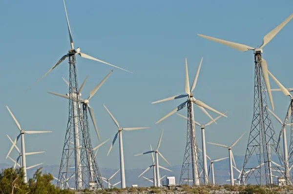 Wind turbine field 4 — Stock Photo, Image