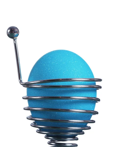 Modrý velikonoční vajíčko v držáku pružiny — Stock fotografie
