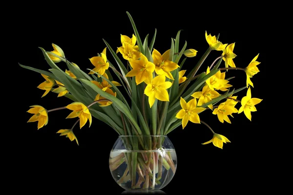 Bouquet of yellow tulips in a glass vase — Stock Photo, Image