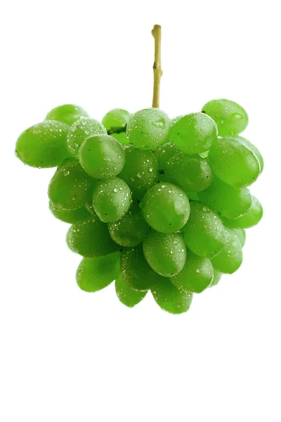 Yeşil üzüm küme — Stok fotoğraf