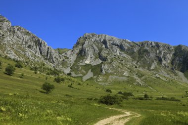trascau dağlar, Transilvanya, Romanya