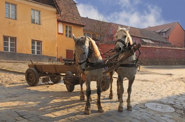 Streets of Sighisoara-Romania clipart