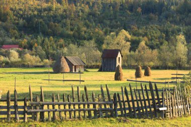 Landscape in Bucovina,Romania clipart