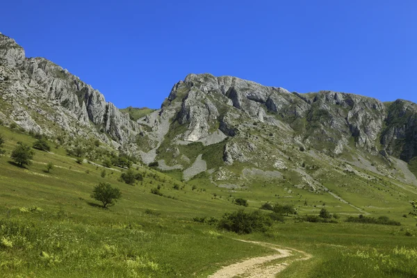 Trascau góry, Siedmiogród, Rumunia — Zdjęcie stockowe